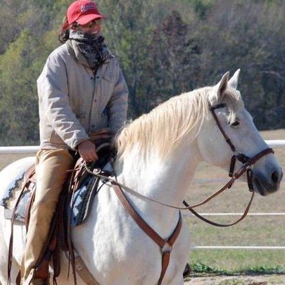he Equine Balance team working with horses, applying craniosacral therapy techniques for holistic healing.