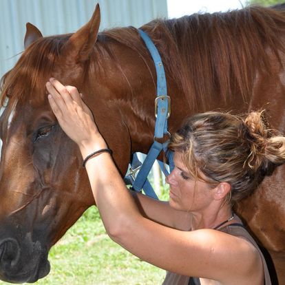 Shea Stewart working with a horse, demonstrating the principles of equine craniosacral therapy.