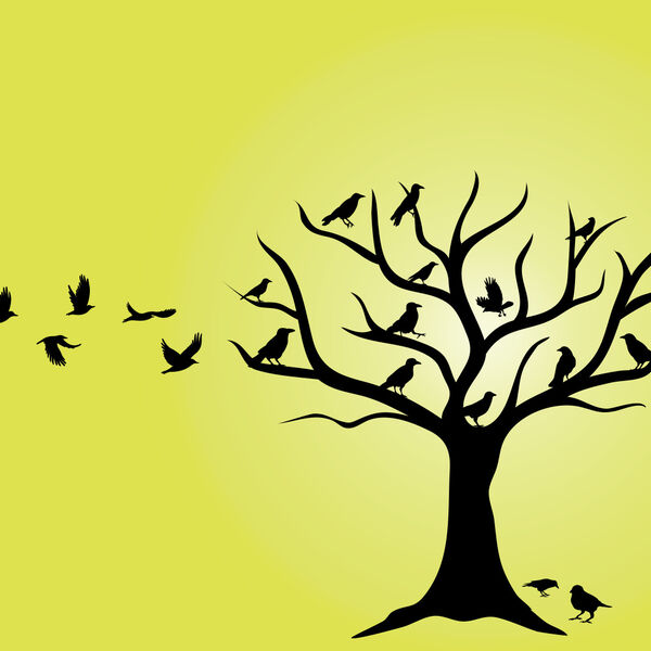 Equine craniosacral therapy unlocking the horse’s potential for relaxation and healing.