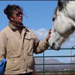 Equine practitioner performing craniosacral therapy to enhance a horse’s physical and emotional well-being.