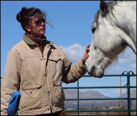 Equine practitioner performing craniosacral therapy to enhance a horse’s physical and emotional well-being.