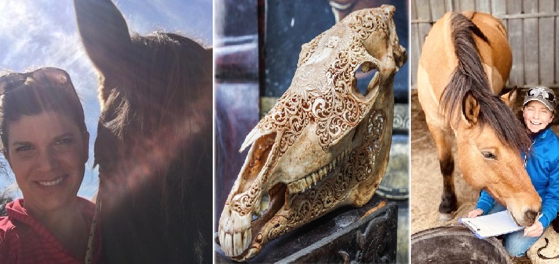 Introduction to Equine Craniosacral Anatomy through A Biodynamic Lens