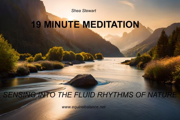 Horse and human harmonizing with nature's fluid rhythms during a craniosacral therapy session.