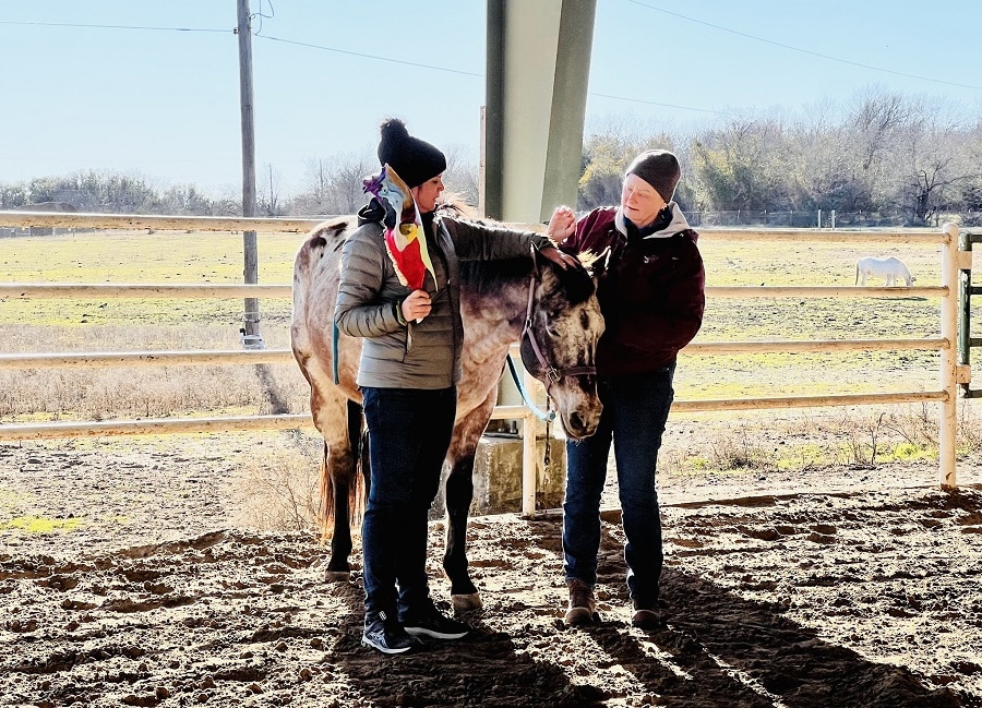 Equine craniosacral therapy session focusing on TMJ relief for a horse.
