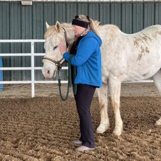 Equine practitioner using craniosacral therapy to improve TMJ mobility and relieve discomfort.