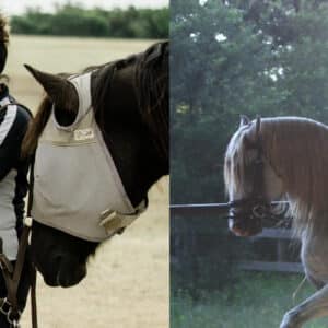 Shea Stewart and Rupert Isaacson collaborating on equine therapy techniques in a three-part series.