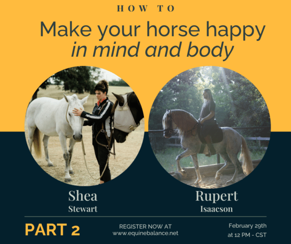 A THREE PART SERIES WITH SHEA STEWART & RUPERT ISAACSON part 2