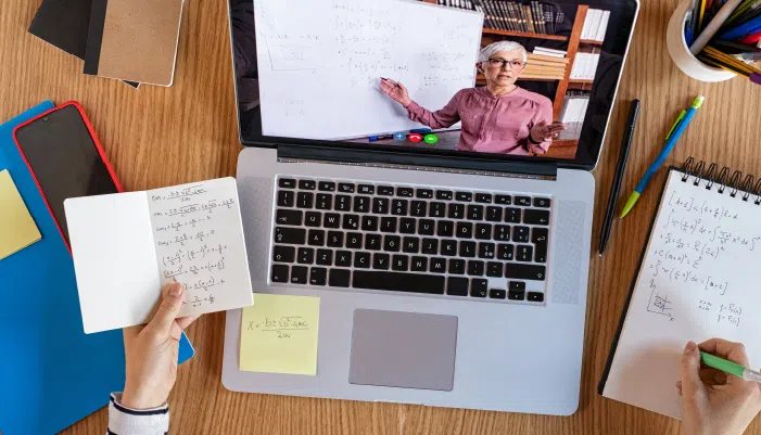 Overview of available equine craniosacral online courses and certifications.